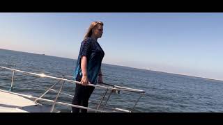 Dolphin Cruise in Swakopmund Namibia [upl. by Dhumma]