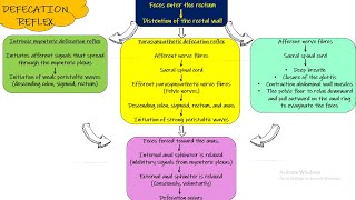 Defecation Reflex Chapter 64 part 10 Guyton and Hall Physiology [upl. by Zephan729]