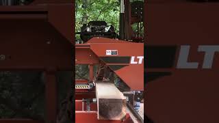 shortvideo Sawing 2nd Board From 2nd Nice 5ft Walnut woodworking [upl. by Bove400]