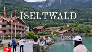 VISITING ISELTWALD amp SIGRISWIL BRIDGE SWITZERLAND 🇨🇭 crashlandingonyou nature travel [upl. by Mylan131]