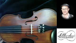 Vivo Montanari Elite Violin Review Brisbane [upl. by Yme]