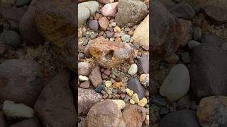 Limonite Stained LSA agate rockhounding rocks nature [upl. by Avad]