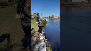 Crevalle jack catch omg saltwaterfish fishing puntagorda [upl. by Amlet812]