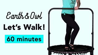 Gentle 60 Minute Rebounder Walk Workout Seniors and Beginners Closed Chain Movement 120bpm [upl. by Fermin]