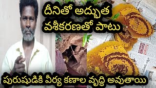 దీని ఉపయోగాలుతెలిస్తే షాక్అవుతారు   Putta Tene Uses AyurVedam All Ap AyurVedam VaseeKaranam [upl. by Wing659]