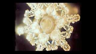 Masaru Emoto  Water Experiments [upl. by Ahsan]