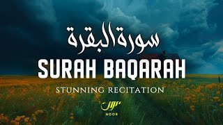 Most Beautiful Surah Baqarah سورة البقرة with English Translation ✦ NOOR [upl. by Ardnuasal]