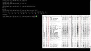 How Unix Treats Files Differently From Windows [upl. by Clemence]