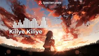 Dj sekhar  Kiliye Kilye Remix [upl. by Ayar]