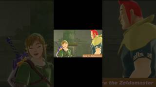 Skyward Sword Link and Groose FriendshipBrother Bond  Get Brother by Avicii [upl. by Hogg]