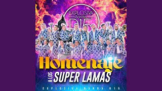 Homenaje a Los Super Lamas [upl. by Rosalba]