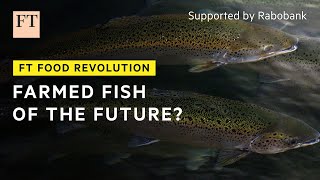 A better way to farm fish  FT Food Revolution [upl. by Notrub]