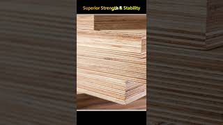 What is Plywood plywood woodworking wood brand india timber [upl. by Ermin]