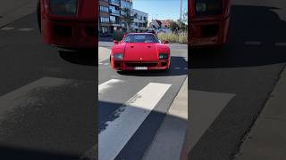 FERRARI F40 SURPRISES KNOKKEHEIST [upl. by Denison]