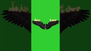 fire wings green screen effect greenscreen graphics graphicdesign [upl. by Kaycee]