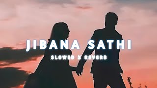 Jibana Sathi Odia SlowedReverb Lofi Song  Popular Odia Serial Song  odialofisong [upl. by Einatsed]