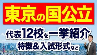 【10分で分かる！】東京都の国公立大学を一挙に紹介！特徴＆入試形式など【大学受験】 [upl. by Yltnerb989]