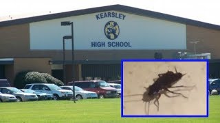 Cockroaches  Bed Bugs Reported at Kearsley High School [upl. by Ewold]