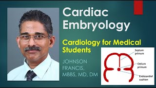 Cardiac Embryology  Cardiology for Medical Students [upl. by Oliana]