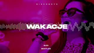 DiscoBoys  Wakacje ale to VIXA BUDI x Rudeboiz Bootleg [upl. by Nnylatsyrc108]