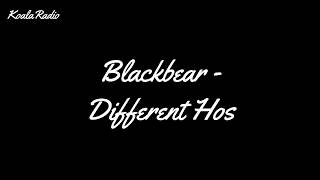 blackbear  different hoes Lyrics [upl. by Rahas256]