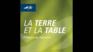 Le processus de transfert  entre continuation et adaptation [upl. by Derraj]