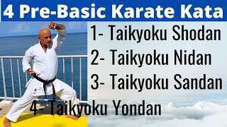 learn karate kata 1 2 3 4 for beginners [upl. by Yelsnit]