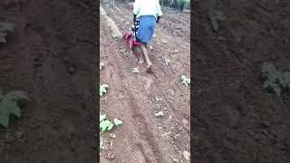 Kisan farmer machine shots shorts shortsvideo [upl. by Ahtelat]