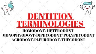 Homodont  Heterodont  Acrodont  Thecodont  Pleurodont  Monophyodont  Diphyodont  Polyphyodont [upl. by Rooney]