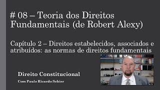 TEORIA DOS DIREITOS FUNDAMENTAIS  ROBERT ALEXY CAPÍTULO 2 [upl. by Cherian]