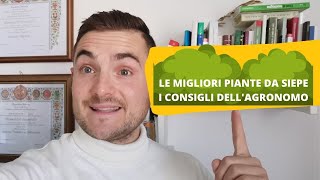 PIANTE DA SIEPE MIGLIORI PER IL GIARDINO I CONSIGLI DELLAGRONOMO [upl. by Croydon]