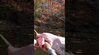 FLY FISHING With STREAMERS shorts [upl. by Nahshon]