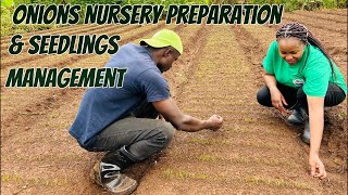 Onions Farming Nursery setup and seedlings management live training [upl. by Nniroc]