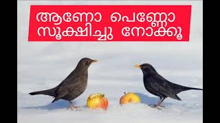 സ്തീപുരുഷന്മാര്‍ തോല്‍ക്കുന്ന ഇടങ്ങള്‍  viralvideo motivation malayalam success happines [upl. by Monahon]