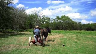 Horse Drawn Hay Mower [upl. by Graeme]