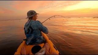 Cob Fishing in South Africa  Hermanus [upl. by Elyak]