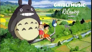 Ghibli Music 🌈 The Best Ghibli Collection Ever 💖 Kiki Spirited Away Totoro [upl. by Libb178]