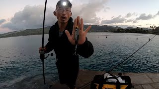 SHORE Fishing in Oahu Hawaii  Whopper Plopper for the Saltwater [upl. by Gnep394]