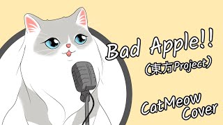 nomico  Bad Apple 東方Project【Cat Meow cover】 [upl. by Akinehc]