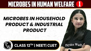 Microbes in Human Welfare 01  Microbes in Household Product amp Industrial Product  12th  NEETCUET [upl. by Casilde]