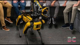 Boston Dynamics’ robot dog Spot can now ‘play fetch’ [upl. by Glynias7]