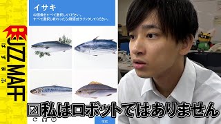 魚好き職員しか突破できない「私はロボットではありません」 [upl. by Elihu]