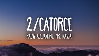 Rauw Alejandro Mr Naisgai  2Catorce LetraLyrics [upl. by Dygall]