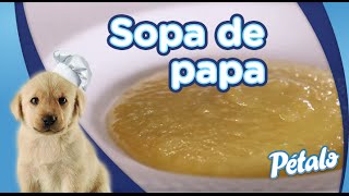 Receta para preparar Sopa de papa Tu Cocina Pétalo® [upl. by Nauqes]