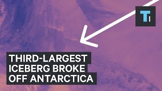 Thirdlargest iceberg broke off Antarctica [upl. by Neslund]