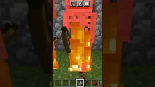 SKELETON INTO DIMOND ARMOURminecraftshorts [upl. by Ahiel]