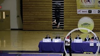 World Championships in Gymwheel 2016 Luca Christ 1st place vault finals [upl. by Laubin510]