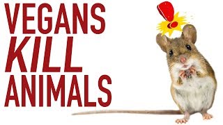 Do Vegans Kill More Animals Than Meat Eaters [upl. by Lemmor]