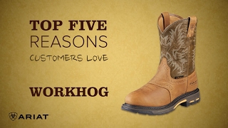 Top 5  Ariat® Workhog Boot [upl. by Dich]