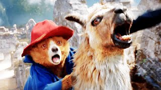 El Dorado Scene  PADDINGTON IN PERU 2024 Movie CLIP HD [upl. by Eam]